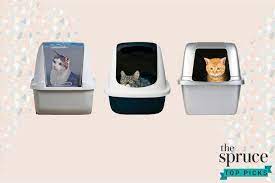 We did not find results for: The 9 Best Cat Litter Boxes Of 2021