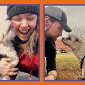 TOP 10 BEST House Sitters in Hartford County, CT