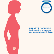 Pin On Women S Health
