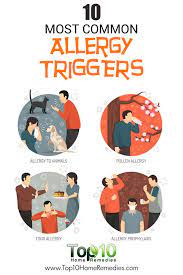 How To Manage Allergies At Home Emedihealth Most Common Allergies Allergies How To Stay Healthy