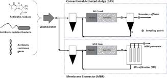 Removal Of Antibiotic Residues Antibiotic Resistant