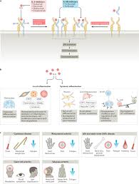 This medicine is often used with other medicines. Translating Il 6 Biology Into Effective Treatments Nature Reviews Rheumatology