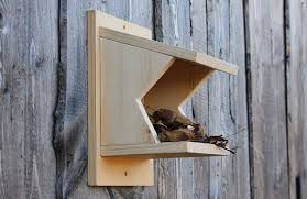 Image result for Flyte Blackbird Nest Box