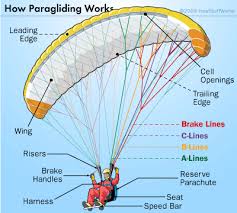 How Paragliding Works Hang Gliding Powered Parachute
