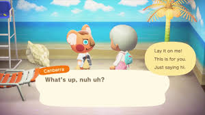 ― canberra, new leaf canberra (キャンベラ, kyanbera?) is a sisterly koala villager who first appeared in new leaf. Acnh Canberra S Important Request Youtube