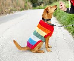 Knit something special for your pet with one of these dog sweater knitting patterns! Knitting Patterns Galore Pets Dogs 25 Free Patterns
