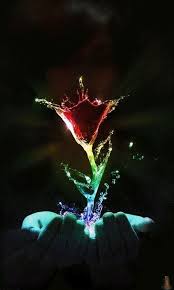 9fd0d3afc8148dfd510d9aeb740abfa8 Jpg 480 800 Moving Wallpapers Moving Wallpaper Iphone Moving Screensavers 1920x1080 bewegliche hintergrundbilder aquarium kostenlos : pinterest