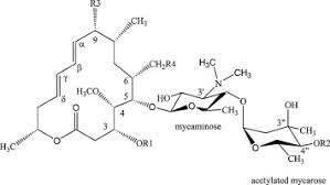 Light energy can be considered in terms of photons or packets of light. Characterization Of The Components Of Meleumycin By Liquid Chromatography With Photo Diode Array Detection And Electrospray Ionization Tandem Mass Spectrometry Sciencedirect