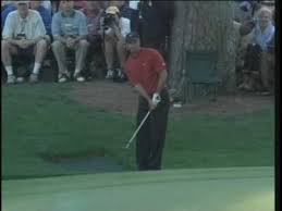 Tiger Chips In At The Par 3 16th At Augusta Tiger Woods Golf Tiger Woods Golf