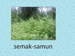 Dan sampai ke titik biru yang kedua dalam masa 5 saat. Kata Ganda