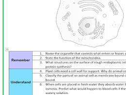 Cells have diverged in their structure and function to accommodate these survival requirements. Animal Cell Structure And Function Worksheet Bloom S Taxonomy Teaching Resources