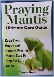 Praying mantids are not the best choice for pest control. Praying Mantis Page Eggs Living Mantids Food Cages And More