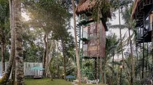 Dia naik ke atas pangkuanku membelakangiku. Ini 5 Penginapan Ala Ala Rumah Atas Pokok Korang Boleh Cuba Pemburu Tiket Murah