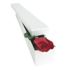 Check spelling or type a new query. Pet Friendly Flowers Delivered Melbourne From Just 25