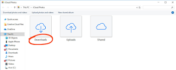 All you need to know to download illustrator and get started with this vector graphics app from adobe. How To Download Photos From Icloud To Your Iphone Ipad Or Computer