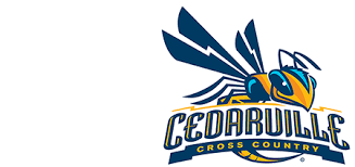 Image result for Yellow 1990 Ohio State of