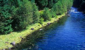 More information on this trail, as well as a map of the area can be obtained from the mckenzie ranger station. Mckenzie River Trail Travel Oregon