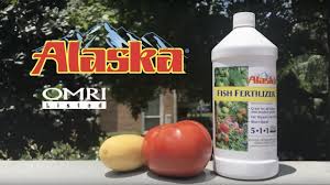 how to use alaska fish fertilizer