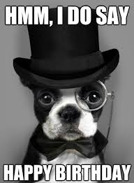 39 happy birthday dog puns ranked in order of popularity and relevancy. Looking For For Ideas For Happy Birthday Funny Browse Around This Site For Perfect Happy Birthda Birthday Meme Dog Funny Happy Birthday Meme Happy Birthday Dog