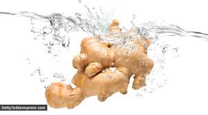 Part of the herring family, sardines, sometimes called pi. Why Consuming Ginger Is Great For Your Immune System Lifestyle News The Indian Express