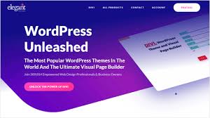 We may earn commission on some of the items y. 25 Most Successful Wordpress Businesses And Companies Today