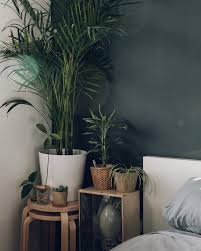 When choosing an indoor plant, you need to take into consideration the flower variety the person might like. We Re Home And Looking Forward To Going Through The Pictures From The Last Couple Of Days So Much To Share Haarkonhou Boho Room Decor Boho Room Home Decor