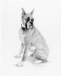 Black And White Boxer Dog Art Boxer Dog Drawing Art Print Dog Pencil Drawing Dog Art Etsy Boxer Dogs Art Dog Print Art Dog Drawing