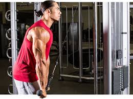 See illustration below for arm muscle anatomy. 5 Arm Workouts For Massive Growth