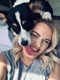 Goldendoodle defending its spot