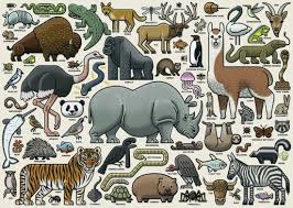 Find a list of websites that offer free jigsaw puzzles or all levels of difficulty you can either download or complete online. Toys Games Jigsaws Ravensburegr National Geographic Amazing Animals 1000 Piece Jigsaw Puzzle