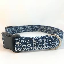 Pin On Dog Collars Leashes And Toys The Best Of Teller Hill