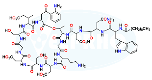 Image result for Daptomycin