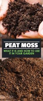 Some soil & dirt facts: Pin On Play In Dirt