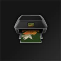 In windows update, update the os and internet explorer to the latest version. Get Canon Easy Photoprint Microsoft Store
