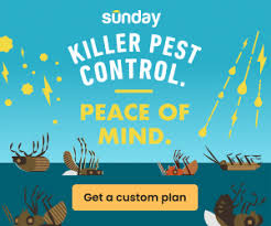 Port Clinton's Doris Huskey to bowl for Muskingum