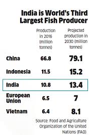 Fish Farms To Produce Nearly Two Thirds Of Indias Fish