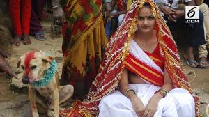 VIDEO: Detik-Detik Seorang Wanita Menikah dengan Anjing - Global  Liputan6.com