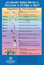 Contextual translation of carnet de vacunación into english. Ministerio De Salud Publica Ar Twitter Vacunaresamar Tu Hija O Hijo Ya Tiene Completo El Esquema De Vacunacion Si No Es Asi Acude Al Servicio De Salud De Tu Conveniencia Https T Co 4jj9xgnvqa