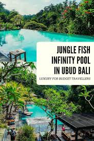 Luxury On A Budget At Jungle Fish Infinity Pool In Bali Kat Is Travelling Bali Travel Infinity Pool Travel Photography