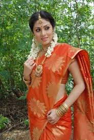 Beauty Galore HD : Sadha Gorgeous And Hot In Orange Saree