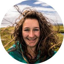 Plastic found lining UK seabird nests