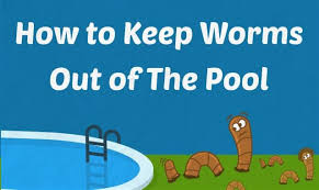 How To Get Rid Of Worms In Your Pool In 2020 Pool Worms Spa Pool