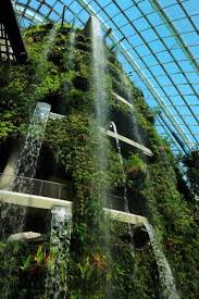 Park In Singapur Wandeln Im Stahlwald Singapur Gewachshaus Glashaus