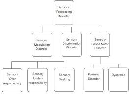 Sensory Processing Disorder Spd Sensory Integration
