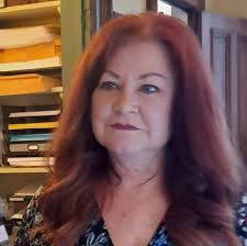 DIY Camper remodel idea ..