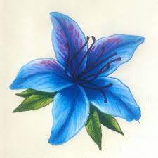 Azalea Azul By Natalia Velez Flower Drawing Flower Tat Azalea Flower