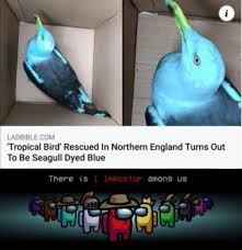 Blue Sus Really Funny Memes Crazy Funny Memes Funny Relatable Memes