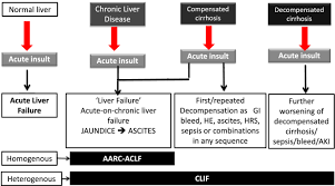 Acute On Chronic Liver Failure Consensus Recommendations Of The Asian Pacific Association For The Study Of The Liver Apasl An Update Springerlink