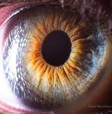 Your Beautiful Eyes Amazing Close Up Photos Of Human Eyes By Suren Manvelyan Eye Close Up Human Eye Macro Photography Eyes