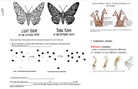 Evidences For Evolution Natural Selection Learning Activities For Ap Biology Distance Learning Evolution Activities Biology Online Textbook